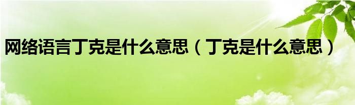 网络语言丁克是什么意思【丁克是什么意思】