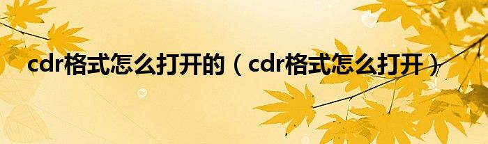 cdr格式怎么打开的【cdr格式怎么打开】