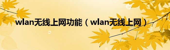 wlan无线上网功能【wlan无线上网】