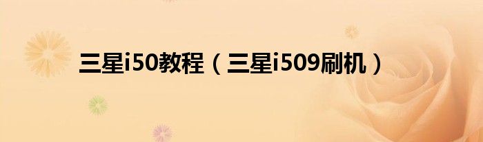 三星i50教程【三星i509刷机】