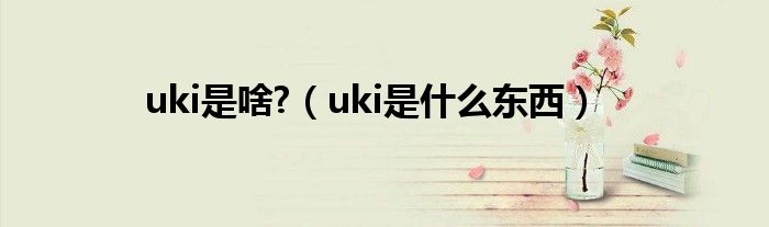 uki是啥?【uki是什么东西】