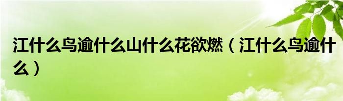 江什么鸟逾什么山什么花欲燃【江什么鸟逾什么】