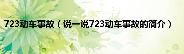 723动车事故【说一说723动车事故的简介】