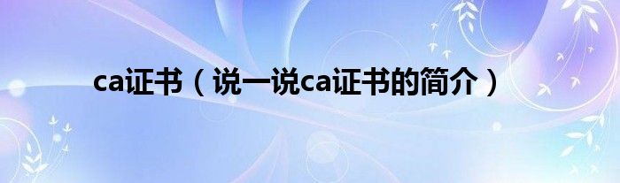 ca证书【说一说ca证书的简介】