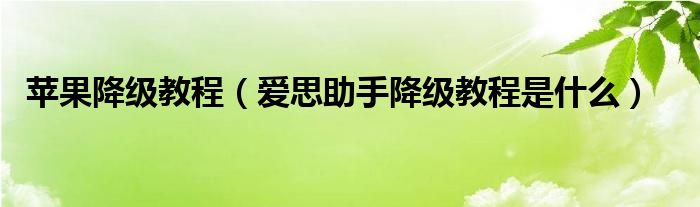 苹果降级教程【爱思助手降级教程是什么】