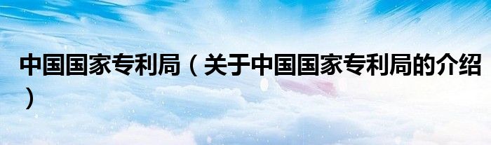 中国国家专利局【关于中国国家专利局的介绍】