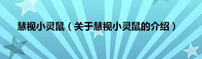 慧视小灵鼠【关于慧视小灵鼠的介绍】