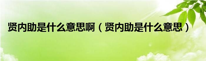 贤内助是什么意思啊【贤内助是什么意思】