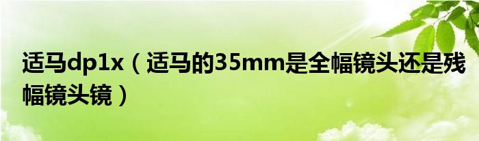 适马dp1x【适马的35mm是全幅镜头还是残幅镜头镜】