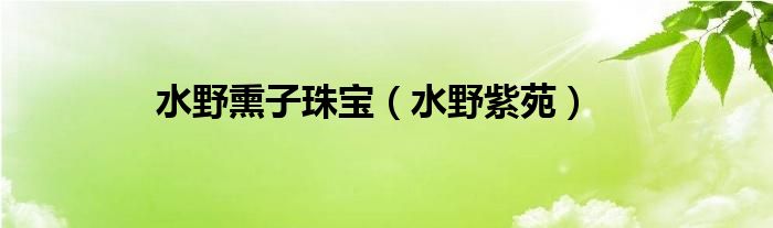 水野熏子珠宝【水野紫苑】