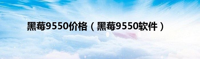 黑莓9550价格【黑莓9550软件】