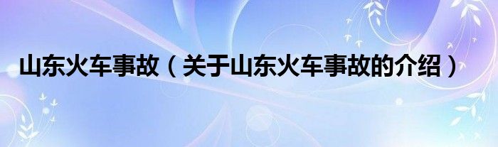 山东火车事故【关于山东火车事故的介绍】