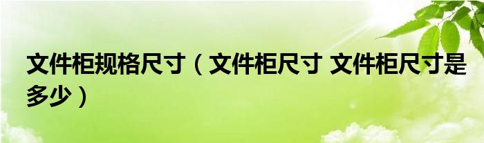 文件柜规格尺寸【文件柜尺寸 文件柜尺寸是多少】