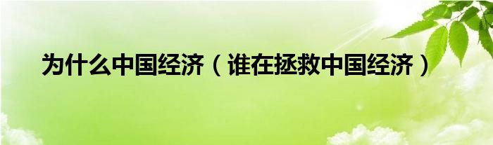 为什么中国经济【谁在拯救中国经济】