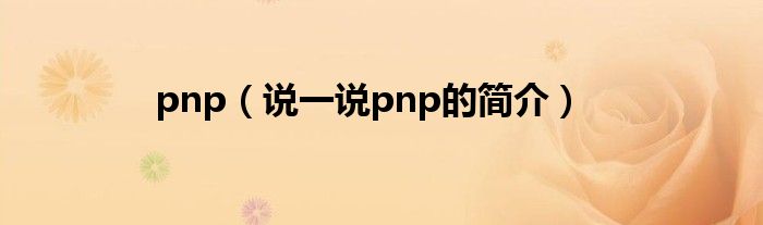 pnp【说一说pnp的简介】