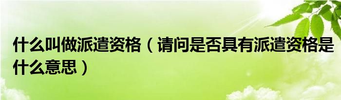 什么叫做派遣资格【请问是否具有派遣资格是什么意思】