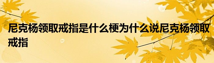 尼克杨领取戒指是什么梗为什么说尼克杨领取戒指