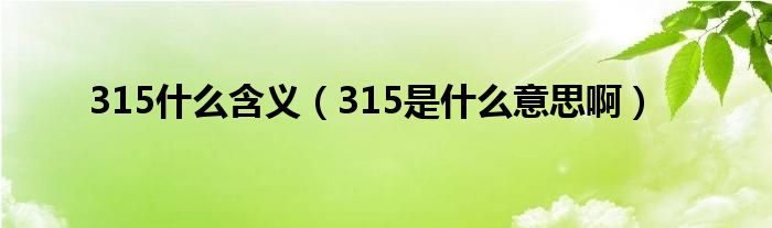 315什么含义【315是什么意思啊】