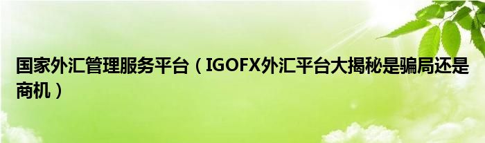 国家外汇管理服务平台【IGOFX外汇平台大揭秘是骗局还是商机】