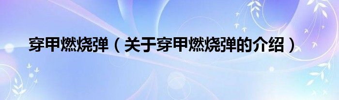 穿甲燃烧弹【关于穿甲燃烧弹的介绍】