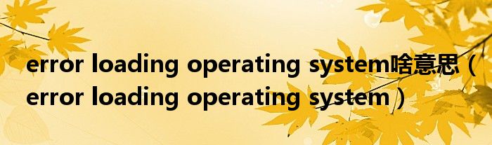 error loading operating system啥意思【error loading operating system】