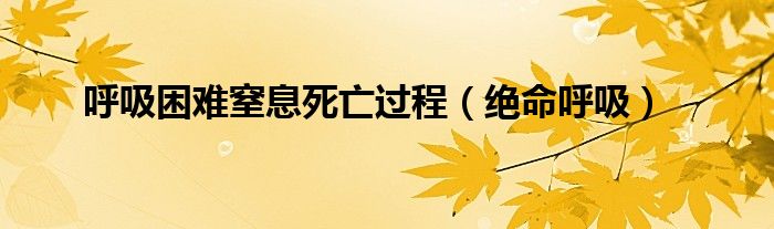 呼吸困难窒息死亡过程【绝命呼吸】