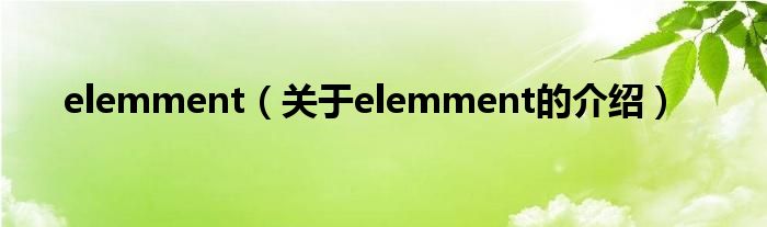 elemment【关于elemment的介绍】