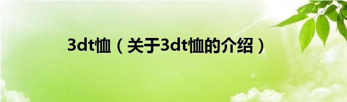 3dt恤【关于3dt恤的介绍】