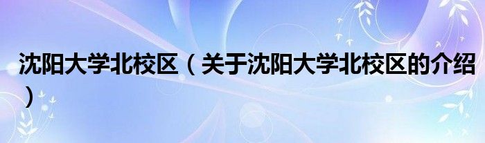 沈阳大学北校区【关于沈阳大学北校区的介绍】