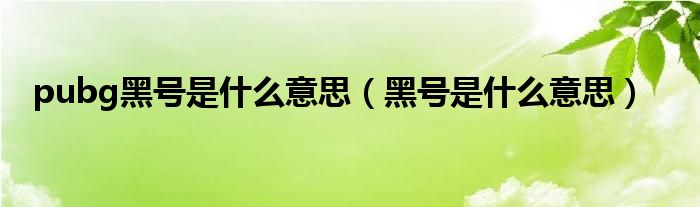 pubg黑号是什么意思【黑号是什么意思】