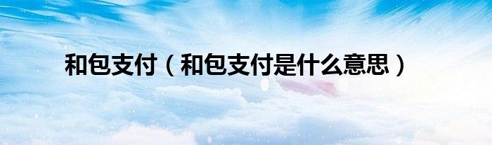 和包支付【和包支付是什么意思】