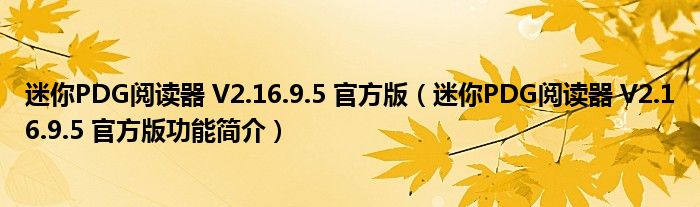 迷你PDG阅读器 V2.16.9.5 官方版【迷你PDG阅读器 V2.16.9.5 官方版功能简介】