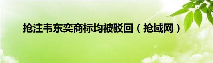 抢注韦东奕商标均被驳回【抢域网】