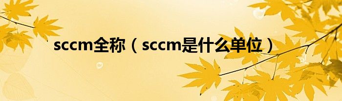 sccm全称【sccm是什么单位】