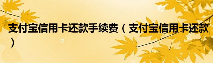 支付宝信用卡还款手续费【支付宝信用卡还款】