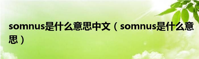 somnus是什么意思中文【somnus是什么意思】