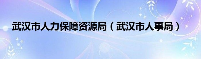 武汉市人力保障资源局【武汉市人事局】