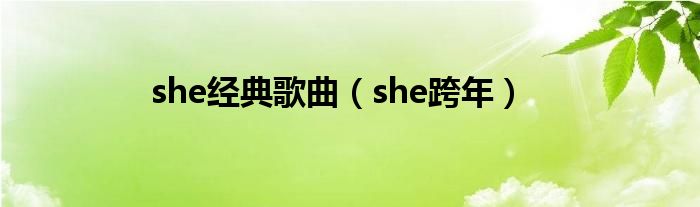 she经典歌曲【she跨年】