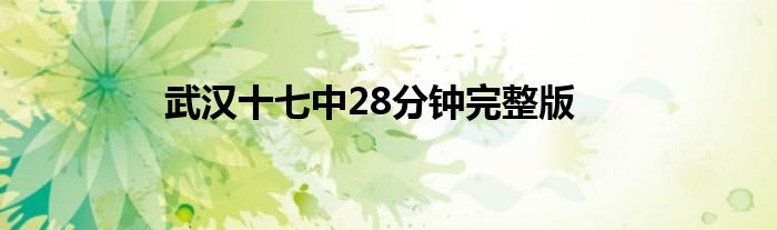 武汉十七中28分钟完整版