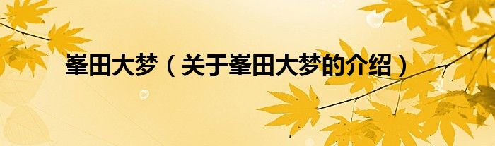 峯田大梦【关于峯田大梦的介绍】