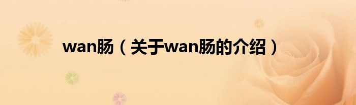 wan肠【关于wan肠的介绍】