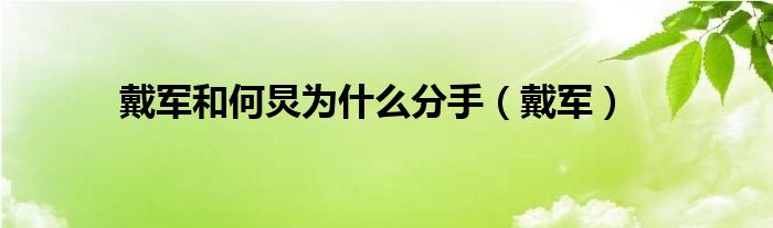 戴军和何炅为什么分手【戴军】