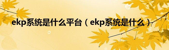 ekp系统是什么平台【ekp系统是什么】