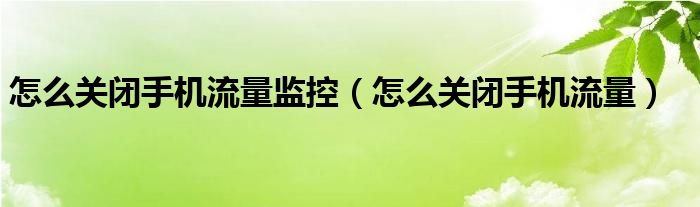 怎么关闭手机流量监控【怎么关闭手机流量】