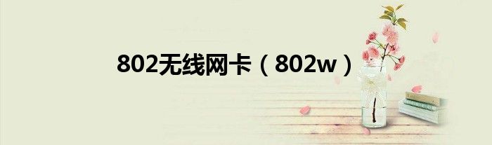 802无线网卡【802w】