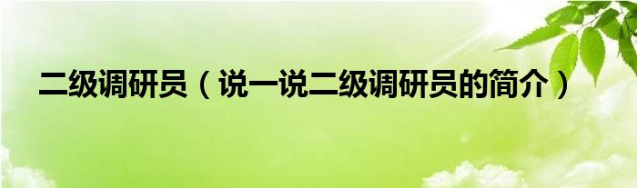 二级调研员【说一说二级调研员的简介】