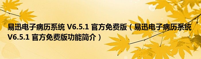 易迅电子病历系统 V6.5.1 官方免费版【易迅电子病历系统 V6.5.1 官方免费版功能简介】