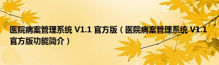 医院病案管理系统 V1.1 官方版【医院病案管理系统 V1.1 官方版功能简介】