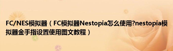 FC/NES模拟器【FC模拟器Nestopia怎么使用?nestopia模拟器金手指设置使用图文教程】