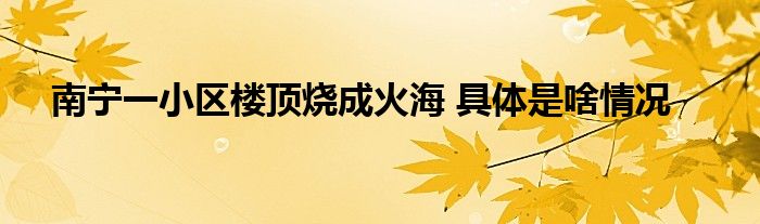 南宁一小区楼顶烧成火海 具体是啥情况